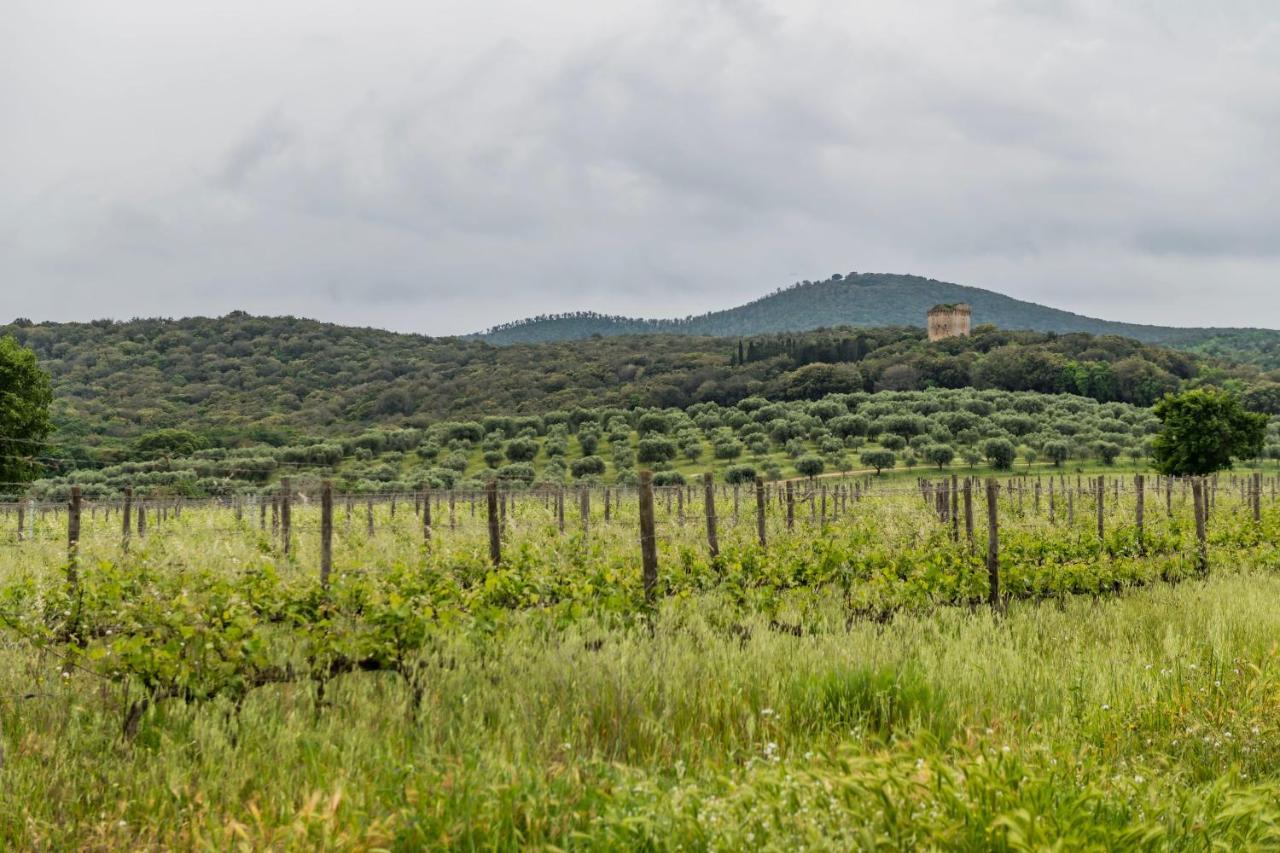 Tenuta Agricola Dell'Uccellina Magliano in Toscana Exterior foto